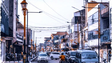 Nikmati Kesegaran Bogor di Musim Terbaik, Panduan Lengkap Spot Menginap dan Festival Lokal Terpopuler