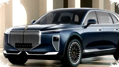 VinFast Lac Hong 800S dan 900S Tembus 625 PS, Simbol Kemewahan dan Warisan Budaya Vietnam