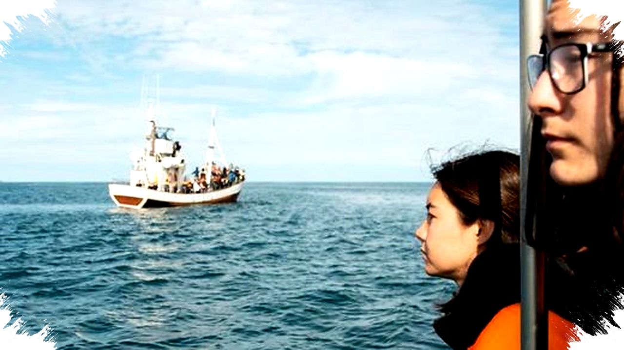 Mabuk Laut Saat Mudik Kapal, 5 Cara Ilmiah Redakan Mual dan Pusing Seketika!